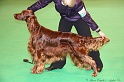 Crufts2011_2 088